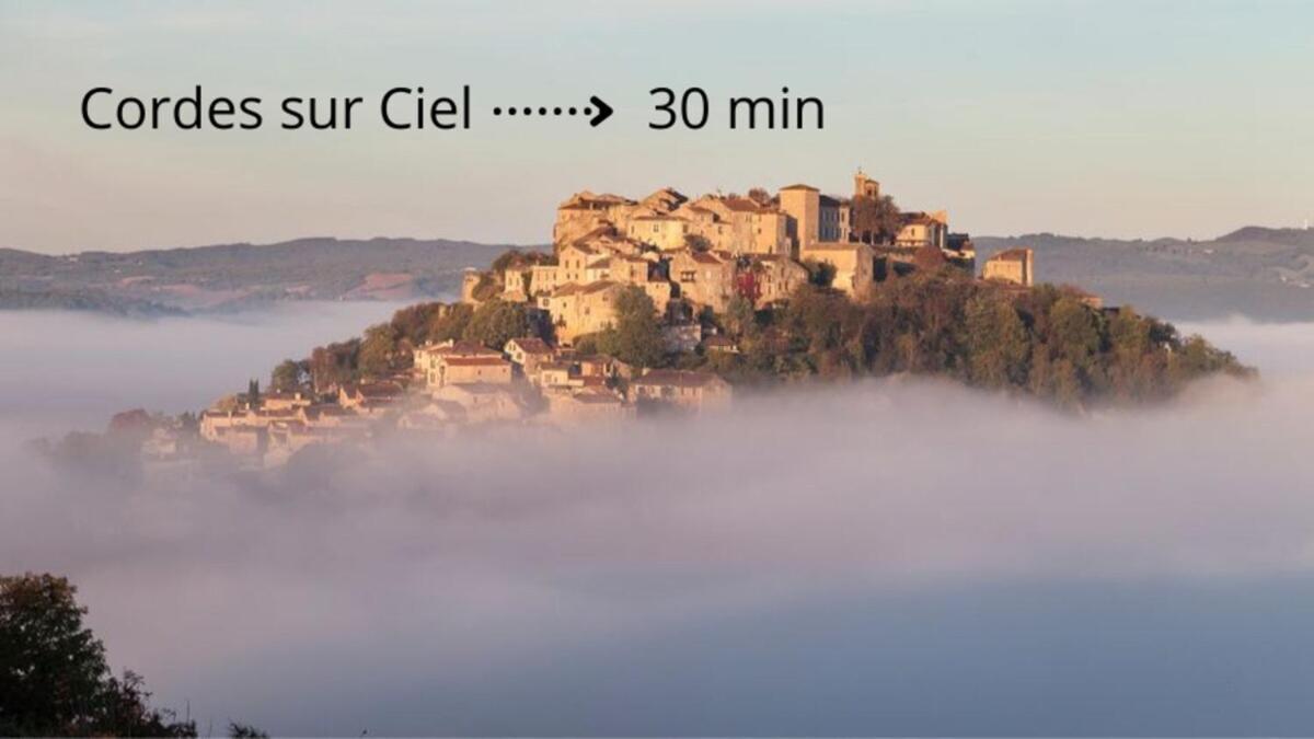 Appartement La Toscanelle - Quartier Historique - Gaillac Esterno foto