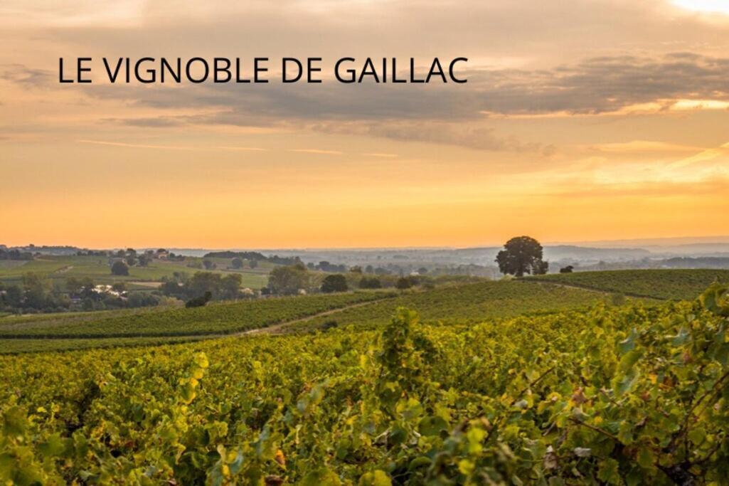 Appartement La Toscanelle - Quartier Historique - Gaillac Esterno foto